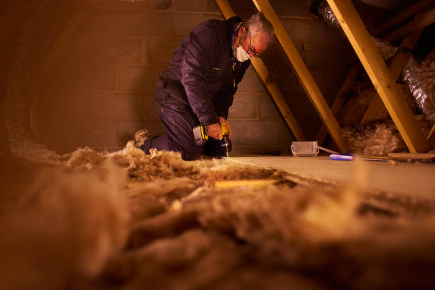 Best Insulation Maintenance and Repair in West Alexandria, OH